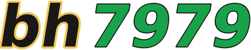 vnbh7979.com Logo